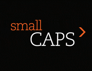 How to build a small cap portfolio